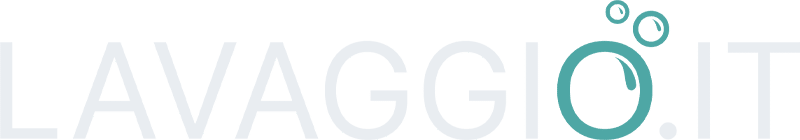 Lavaggio logo chiaro