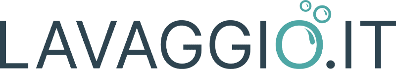 Lavaggio logo